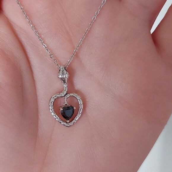 Elegant Silver Snake Heart Necklace - Picture 2 of 12